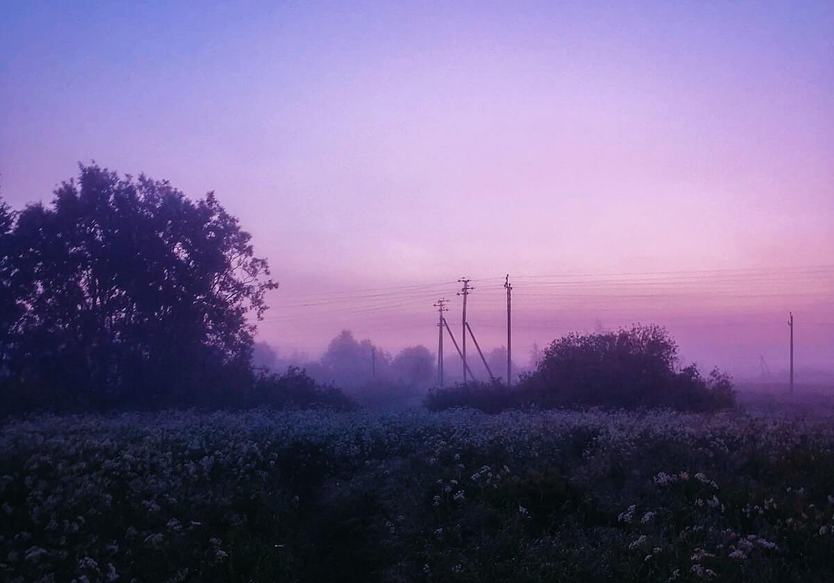 茶杯狐里反转怎么铺垫没写清怎么办？先做一次对照阅读再往下读