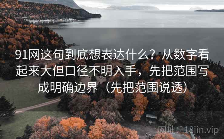 91网这句到底想表达什么？从数字看起来大但口径不明入手，先把范围写成明确边界（先把范围说透）